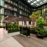 Dorothea Hotel